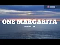 One Margarita - Luke Bryan (Lyrics)