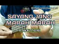 Download Lagu SAYANG JANG MARAH MARAH - R.Angkotasan (Lirik official) cover ukulele By Chandra #49