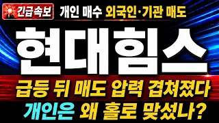 [현대힘스 주가전망] (긴급)개인 매수 외국인·기관 매도! 급등 뒤 매도 압력 겹쳐졌다. 개인은 왜 홀로 맞섰나?