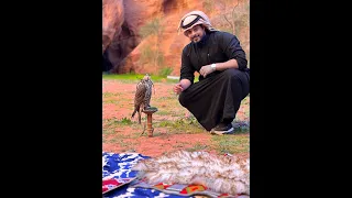 طارت طيور الغلا دندنها