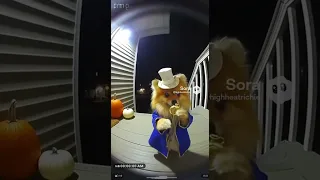 حلوى أم خدعة الكنغر في جرابه سورا 2 آي 