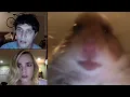 Unfriended Hamster Webcam