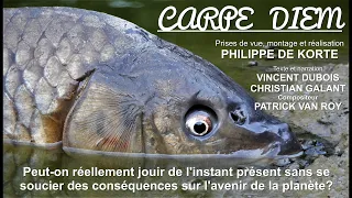 video_image