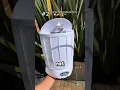 3 surprising details at Disneyland