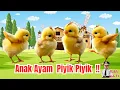 Download Lagu Lagu Anak populer❗ LAGU ANAK AYAM PIYIK PIYIK❗ LAGU MAZAYA❗  Lirik Lagu Anak Indonesia❗