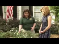 Aromatic shrubs with Pike Nurseries and Joanne Feldman
