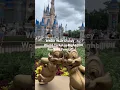 Which Disney World Tickets do You Buy