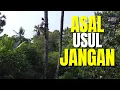 Asal Usul Cita Rasa Masakan Jawa, Kenapa Cenderung Manis?