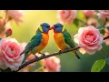 Download Lagu Relaxing Piano \u0026 Bird Songs | Healing Nature Sounds for Sleep, Study, and Relaxation 🌳💤
