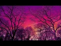 Emmit Fenn - Tangled