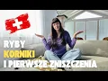 Download Lagu Dom w Szwajcarii PIERWSZE PROBLEMY