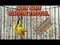 Download Lagu BOHONG KALAU GAK NYAUT‼️SOGON TROTOL GACOR PENJEBOL EMOSI‼️COCOK UNTUK SOGON IJOAN