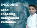 Label Encoding in Machine Learning Python Data Science