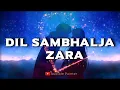 Lagu Dil Sambhalja Zara | Slowed Reverb Rain Lofi Mix | Murder 2 | Emraan Hashmi |Jacqueline Fernandez HD