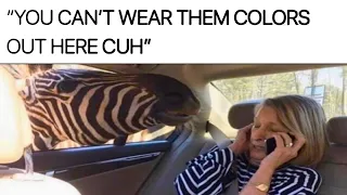Animal Memes