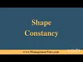 Shape Constancy Types of Perceptual Constancy
