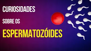 QUANTO TEMPO VIVE O ESPERMATOZÓIDE? CONGELADO, DENTRO DO CORPO (DO HOMEM E DA MULHER)