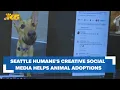 Seattle Humane s creative social media helping boost animal adoptions