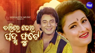 chalire tora padma phute sakala tirtha to charane uttam mohanty rachana banerjee sidharth gold