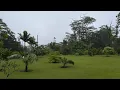 Live hurricane Lala in my backyard