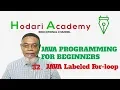 Java Programming for Beginners - 32 Java Labeled for loop
