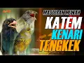 Download Lagu KAPAS TEMBAK GACOR - KENARI - TENGKEK