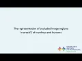 Lagu The representation of occluded image regions in area V1 of monkeys and humans