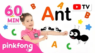English Class for Toddlers (0-3 Years) | Learn First Words & ABCs | Pinkfong Official