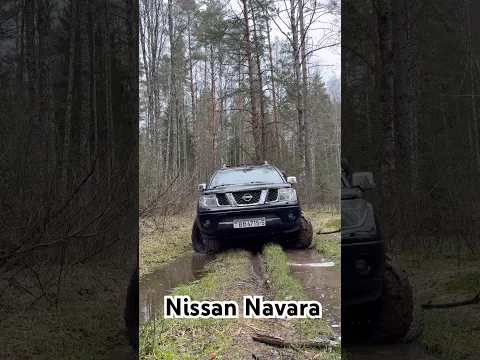 Nissan Navara trying to get out of the rut