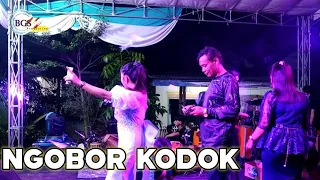 ngobor kodok bgs pro
