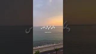 ويمكن ننسى كل الناس    ولا ننسى حبايبنا دندنها