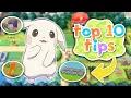 Top 10 Pokemon Pokopia Beginner Tips YOU NEED TO KNOW