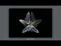 aleyna tilki - bekleyenim (slowed + reverb )