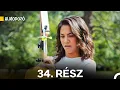 Download Lagu Almodozó 34. Rész (Magyar Szinkron)