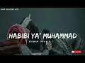 Download Lagu HABIBI YA' MUHAMMAD naat ( slowed + reverb ) nazam