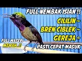 Download Lagu PANCINGAN KONIN GACOR FULL NEMBAK ISIAN TONJOLAN MEWAH, COCOK BUAT MASTERAN KOLIBRI NINJA BAHAN