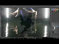 Pale Lights - This Patch of Sky