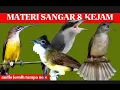 Download Lagu masteran idaman juri | katem, cucak jenggot, jinjing petulak dan pijantung