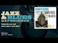 John Lee Hooker - Dimples