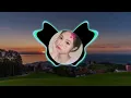 Download Lagu DJ SUWUNG X O AJA YAKAN