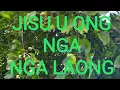 Download Lagu Gospel khasi song layric, JISU U LONG U DIENG SOHWAIÑ UBA SHISHA. Please SUBSCRIBE.