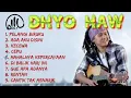 Download Lagu DHYO HAW full album