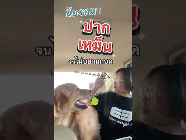 ขนมสุนัขสูตรบำรุงกระดูกและข้อต่อ คู่ ขนมขัดฟันรสออริจินัล