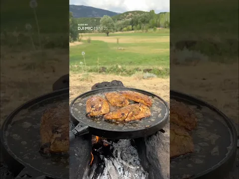 Grilled Bonito Wrap