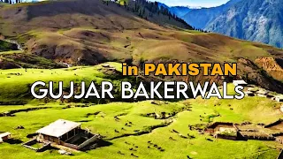 Download Gujjars In Pakistan || Population, Areas, Places named after Gujjars | Gujjars in KPK, Gilgit | Ep 2 MP3