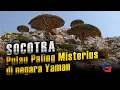 Download Lagu Pulau Misterius diduga Tempat Persembunyian Dajjal | Socotra