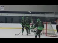 2023 Chipotle-USA Hockey National Championships Team Texas defeats WEHL 4-0
