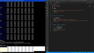 Buffer Overflow Tutorial