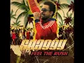 Shaggy - Feel the Rush