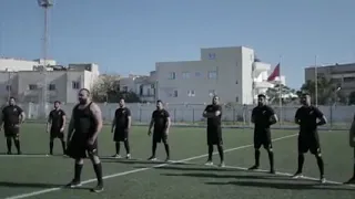  الأسد يمرض و لا يموت               دندنها